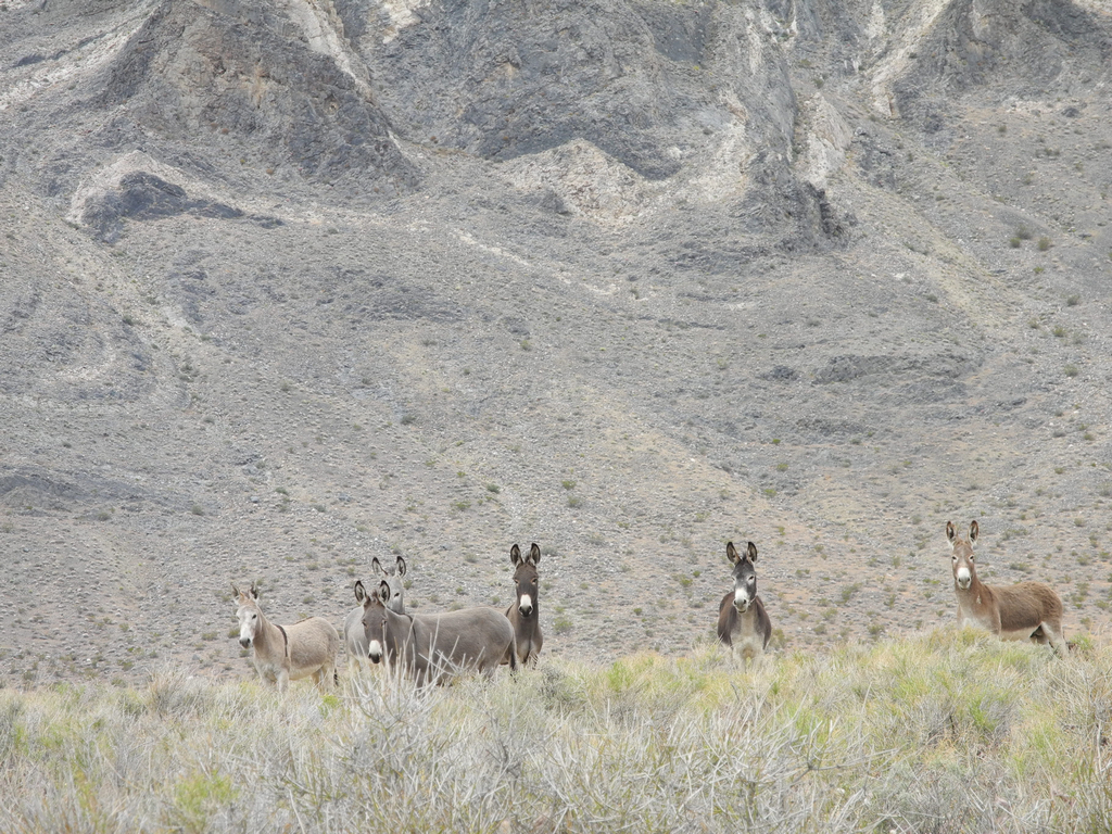 death valley